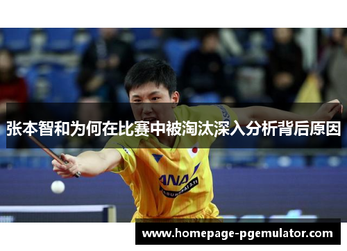 张本智和为何在比赛中被淘汰深入分析背后原因