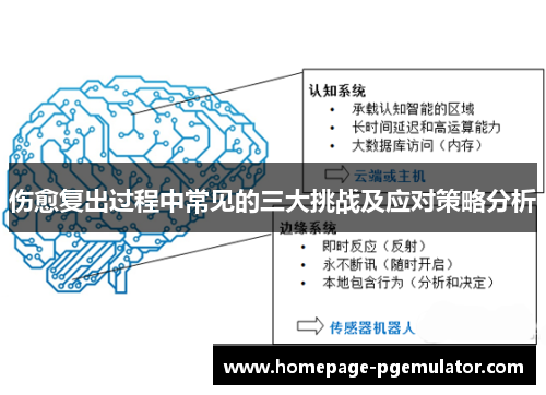 伤愈复出过程中常见的三大挑战及应对策略分析