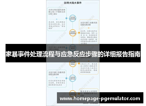 家暴事件处理流程与应急反应步骤的详细报告指南