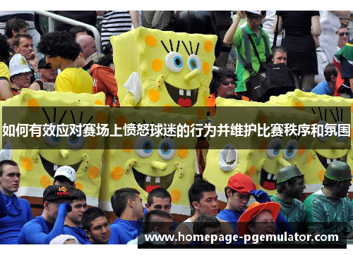 如何有效应对赛场上愤怒球迷的行为并维护比赛秩序和氛围