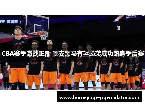 CBA赛季激战正酣 哪支黑马有望逆袭成功跻身季后赛