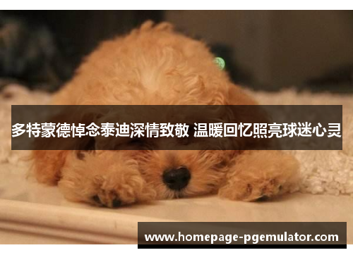 多特蒙德悼念泰迪深情致敬 温暖回忆照亮球迷心灵