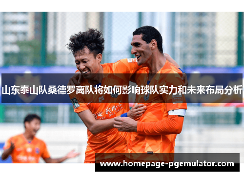 山东泰山队桑德罗离队将如何影响球队实力和未来布局分析