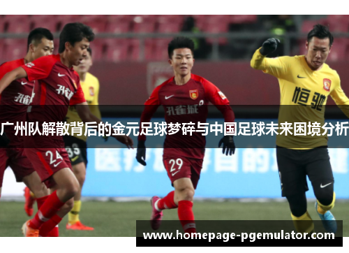 广州队解散背后的金元足球梦碎与中国足球未来困境分析