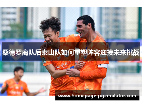 桑德罗离队后泰山队如何重塑阵容迎接未来挑战