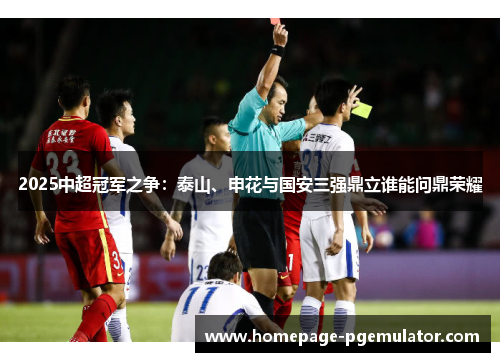 2025中超冠军之争：泰山、申花与国安三强鼎立谁能问鼎荣耀