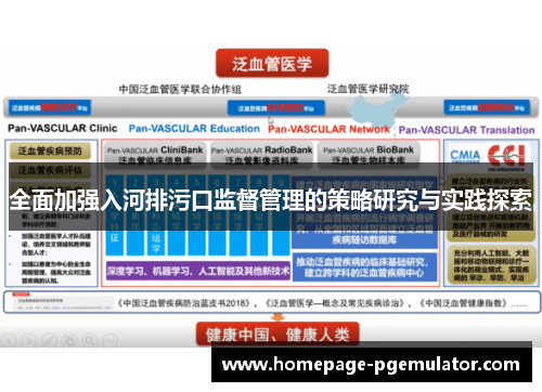 全面加强入河排污口监督管理的策略研究与实践探索
