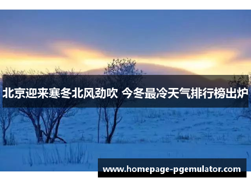 北京迎来寒冬北风劲吹 今冬最冷天气排行榜出炉
