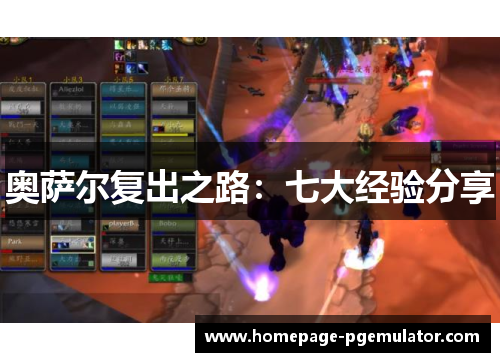 奥萨尔复出之路：七大经验分享