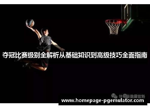夺冠比赛级别全解析从基础知识到高级技巧全面指南