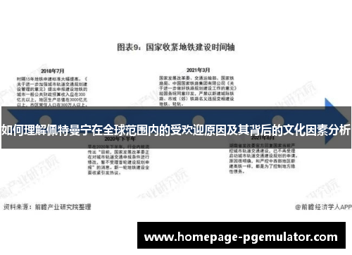 如何理解佩特曼宁在全球范围内的受欢迎原因及其背后的文化因素分析