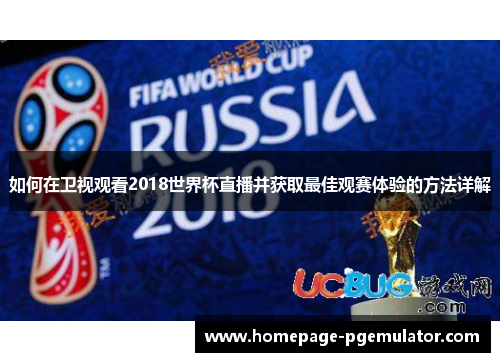 如何在卫视观看2018世界杯直播并获取最佳观赛体验的方法详解