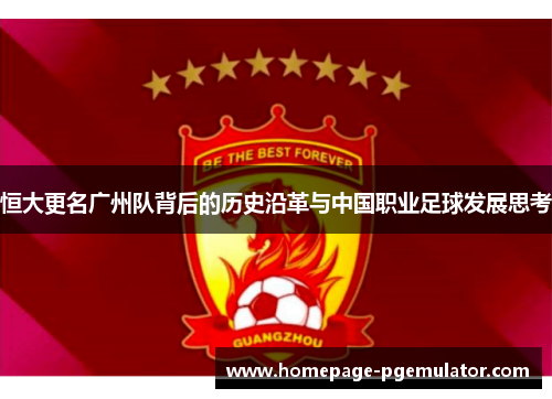 恒大更名广州队背后的历史沿革与中国职业足球发展思考