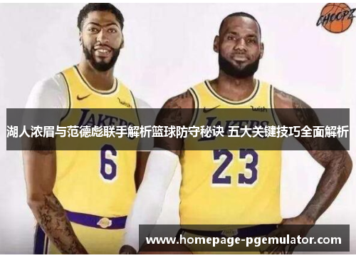 湖人浓眉与范德彪联手解析篮球防守秘诀 五大关键技巧全面解析