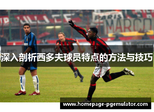 深入剖析西多夫球员特点的方法与技巧