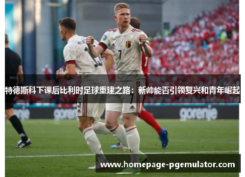 特德斯科下课后比利时足球重建之路：新帅能否引领复兴和青年崛起
