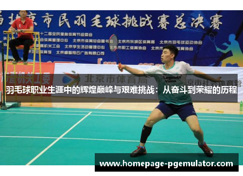 羽毛球职业生涯中的辉煌巅峰与艰难挑战：从奋斗到荣耀的历程
