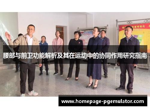 腰部与前卫功能解析及其在运动中的协同作用研究指南