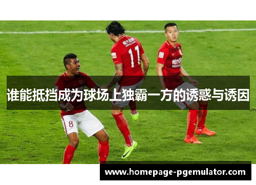 谁能抵挡成为球场上独霸一方的诱惑与诱因
