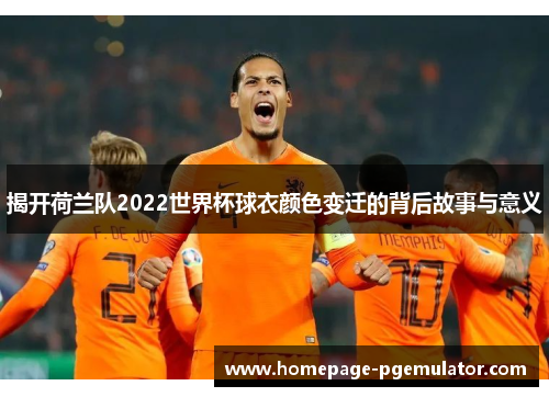 揭开荷兰队2022世界杯球衣颜色变迁的背后故事与意义