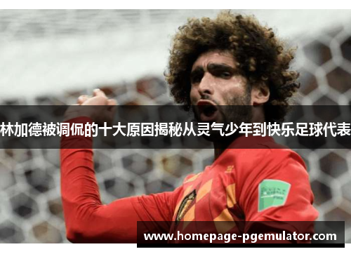 林加德被调侃的十大原因揭秘从灵气少年到快乐足球代表