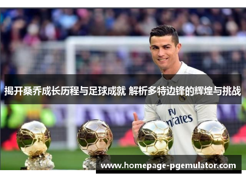 揭开桑乔成长历程与足球成就 解析多特边锋的辉煌与挑战