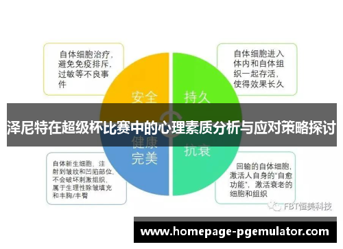 泽尼特在超级杯比赛中的心理素质分析与应对策略探讨