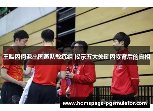 王皓因何退出国家队教练组 揭示五大关键因素背后的真相